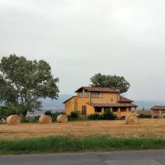 Vigna del Poggio