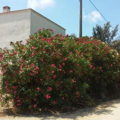 Pequeña casa rural en el centro del Delta del Ebro