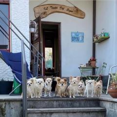 B&B Il tempo del sogno con cani e gatti Pet&Breakfast