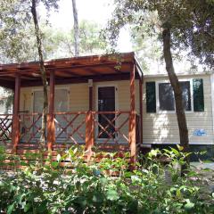 Comfortable chalet with two bathrooms at 31 km from Zadar