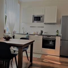 Spacious apartment for up to 3 people in Riga centre