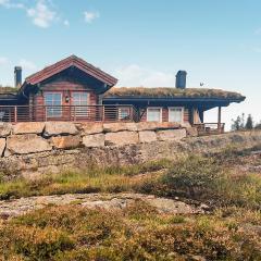 Gorgeous Home In Vrdal With Wifi