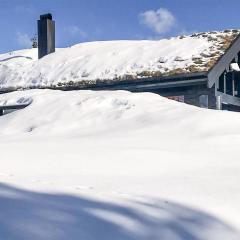 Cozy Home In Nissedal With Kitchen