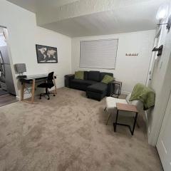 1st Floor Apt With Fenced Yard Access