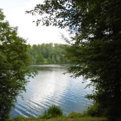 Twistesee Ferienhaus 2