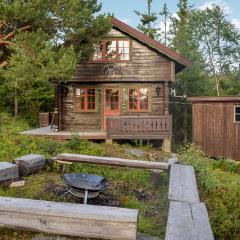 Stunning Home In Rjukan With House A Mountain View