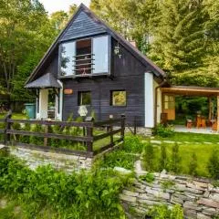 Holiday Home Dolní Jílovice by Interhome