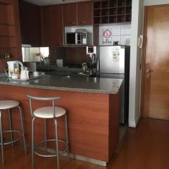 Excelente Departamento con inmejorable ubicación en Providencia