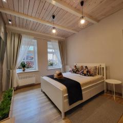Cosy and authentic apartment in Vilnius Old Town