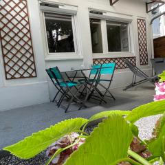 Maisonnette Cosy 3*** avec Terrasse en Aix-les-Bains - FR-1-555-95