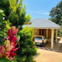 Munnar Lush Greens