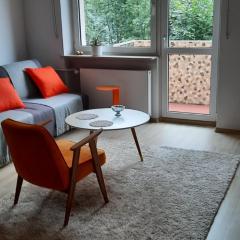 Apartament Centrum przy Parku Zdrojowym