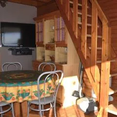 Chalet 4 pièces - Jardin clôturé - Terrasse vitrée - Font-Romeu - FR-1-580-39