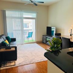 One bedroom apt near NRG and Medical Ctr