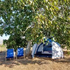 La Sosta del Viandante - Camping