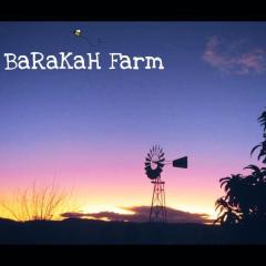 Barakah Farm