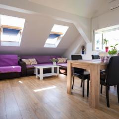 Apartment Andro,Trnje, private garage