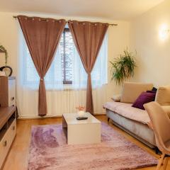 Free parking Christmas Market Downtown Apartment Boutique Green Garden Unirii