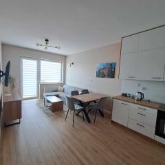 Apartament Długa Uniejów