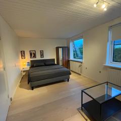 2 Private Bedroom & Bathroom in Billund near Lego House & Legoland