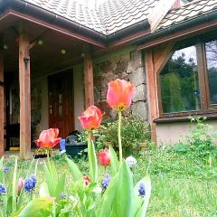 Stone cottage