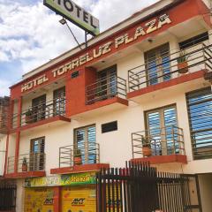 HOTEL TORRELUZ PLAZA