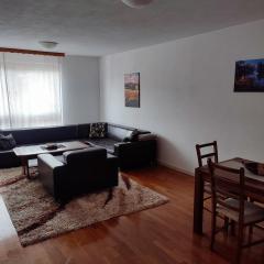 Lovely 1-bedroom condo in Travnik