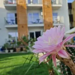 ALYA Sea Escape Costinesti - parcare gratuita