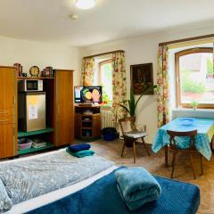Apartment Amelie - Zimmer mit TV, W-Lan, Mikrowelle und Kühlschrank, Bad mit Dusche