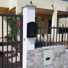 Falcon House