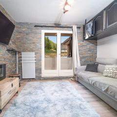 LE SCHUSS 4 - 342 - Studio lumineux 2-4 pers