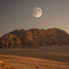 Wadirum Zeid camp&Tours