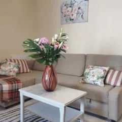 Spacious apartment La Mata pool&beach