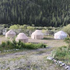 Sary Kungoy Yurt Camp