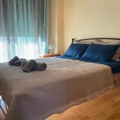 Trikala City Apartment