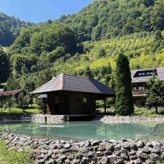 Vikendica Green Forest, Zenica