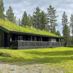 Holiday home Hemsedal III