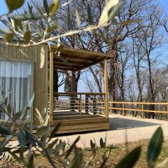 Mobilehome in Lazise - Gardasee 45718