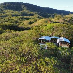 Four Trees Jungle Lodge