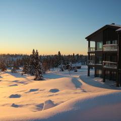 Beautiful penthouse with panoramic view at Sjusjøen