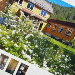 Tangen gjestehus The place to stay in Telemark