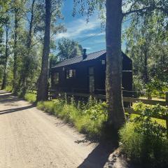 Elevated Tiny House Glamping