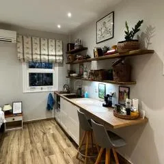 Theodore's cosy apartment