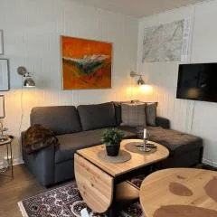 Sentral og intim leilighet