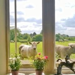 Battens Farm Cottages B&B