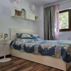 Thomas' place central -100m parc si metrou Tineretului