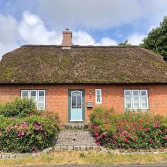 Das Puppenhaus, Reetdach, Sauna, Kamin, eingezäunt, Badewanne, Haustiere willkommen