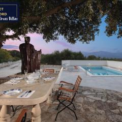 Villa Dubrava Tranquil Retreat Nestled in an Olive Grove for Serene Escapes