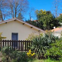 Maison de 3 chambres a Arcachon a 800 m de la plage avec jardin clos et wifi