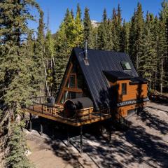 New Modern Rustic A-Frame Cabin with Barrel Sauna